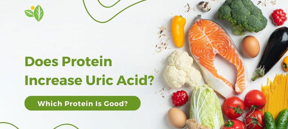 Protein-in-Uric-Acid