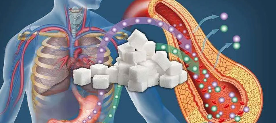 sugar-effect-on-health